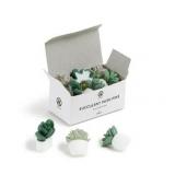 U Brands Succulent Push Pins, Assorted Styles, 9-C