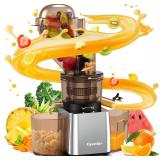 Commercial 300W Cold Press Juicer Machine - Dual O