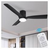 ceiling fan with light WOZ20008CB-C