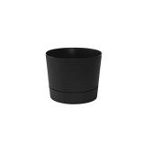 Root & Vessel Majestic Mid-Century Modern Low Prof