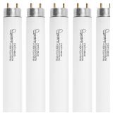 F32T8/841 Fluorescent Light Bulb, 48 Inch, 32 Watt