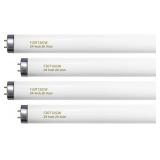 Konideke - T12 24' 20W Cool White F20T12/CW 4100K
