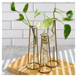 Propagation Station Terrariums with Gold Metal Sta