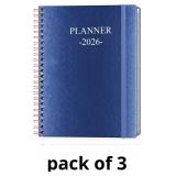 Planner 2026 - Weekly & Monthly Planner Runs from