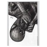 Amazing Spider-Man #1 C2E2 Mico Suayan Virgin...