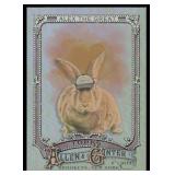 2025 Topps Allen & Ginter Silver Foil Alex the...