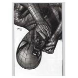 Amazing Spider-Man #1 C2E2 Mico Suayan Virgin...