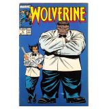 Wolverine #8 - Iconic Cover