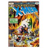 The X-Men #113