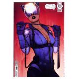 Absolute Batman #13 - 1st Catwoman & Harley Quinn