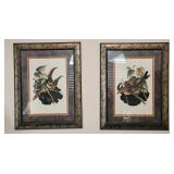 SET OF 2- FRAMED TOUCAN PRINTS
