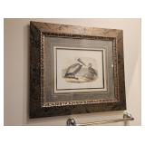 LARGE FRAMED SHORE BIRD COLORED ENGRAVING