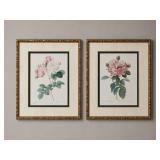 PAIR OF 23' X 29' FRAMED ROSE PRINTS