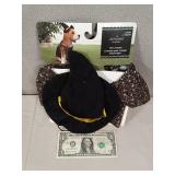 Pet Costume (Witch)