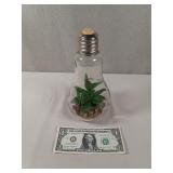 Light up Terrarium Light Bulb (Needs Battery)