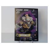 Pokemon Rare Dusknoir Mega Evolution