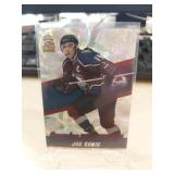 JOE SAKIC 2002 CROWN ROYALE CROWNING ACHIEVEMENTS