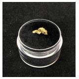 Alaskan Yukon Gold Nugget #2