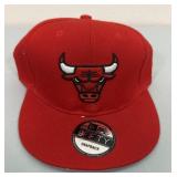 Chicago Bulls Hat #4