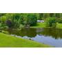 Mohican Area Home and 2-acre stocked pond