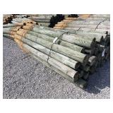 Posts 6x8 treated (50 qty)