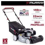$379 Murray 22 in. 140 cc Briggs & Stratton Walk B