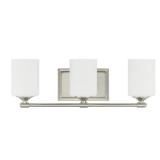 $70 Darlington 20.88 in. 3-Light Brushed Nickel Va