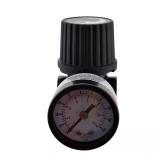 $25 1/4 in. Black Air-Compressor Regulator with Ga