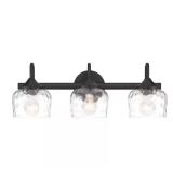 $60 23.25 in. 3-Light Matte Black Vanity Light wit