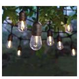 $35 12-Light 24 ft. Indoor/Outdoor Plug-in S14 Sin