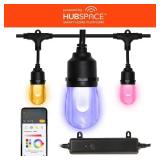 $65 Smart Black 12-Light 24 ft. Indoor/Outdoor Plu