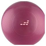 $15 BCG 55 Cm Stability Ball