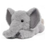 $20 Tai The Elephant