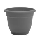 $48 Bloem Ariana 5.25 in. H X 6.5 in. W X 6 in. D