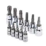 Husky 1/4 and 3/8 in. Drive Torx Bit Socket Set (1