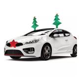 Nifty Auto Care Decor Kit