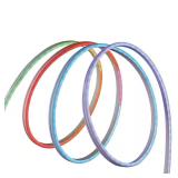 9 ft. RGBWIC Dynamic Color Changing Dimmable Plug-