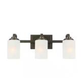 $80 21 in. 3-Light Oil-Rubbed Bronze Contemporary