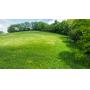 6.25 Acres Vacant Land Dundee  