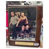 Vintage WWF Stone Cold Photo Plaque