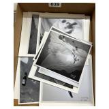 Black-and-White Crime Scene Photos