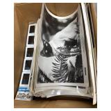 Movie Stills and Film Slides