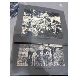 Global Agriculture Photos