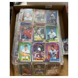 Baseball Cards in Sleeves