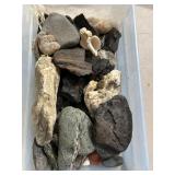 Fossilized Rocks and Shells