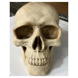 Skull-Shaped Ceramic Coin Bank