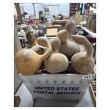Dried Decorative Gourds