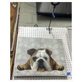 16x20 Bulldog Canvas Artwork