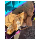 Outerwear and Camouflage Gear