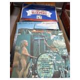 Vinyl Albums and Record Sets